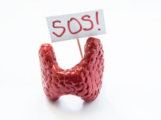 3D thyroid model